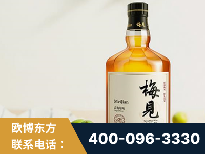 晋中-梅见青梅酒